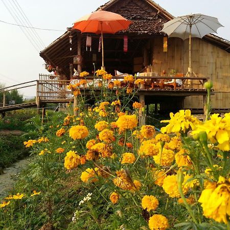 Tulip Resort Pai Extérieur photo