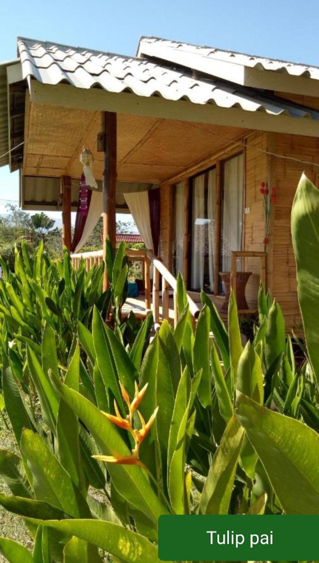 Tulip Resort Pai Extérieur photo