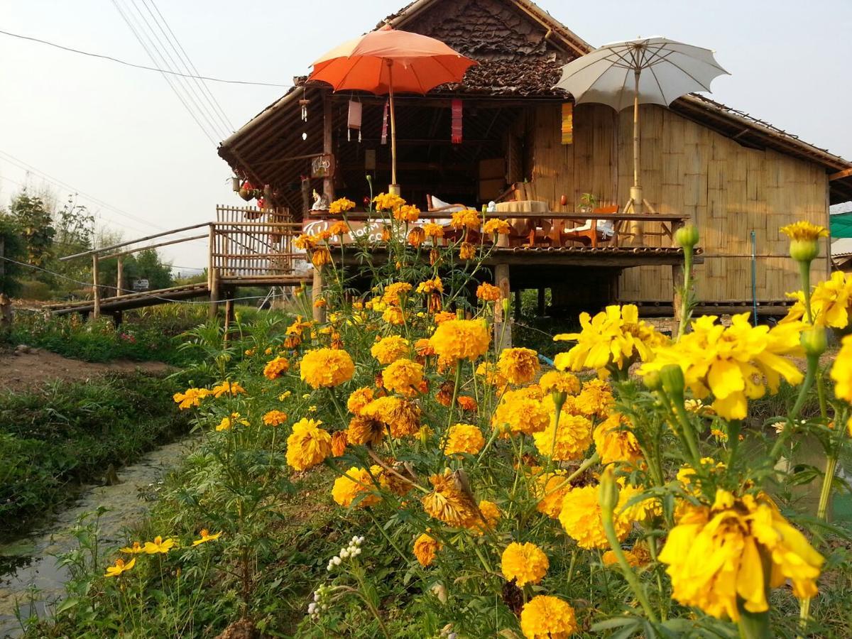 Tulip Resort Pai Extérieur photo